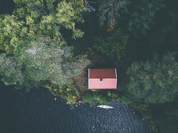 Aerial view of a cabin in the woods near the edge of a lake