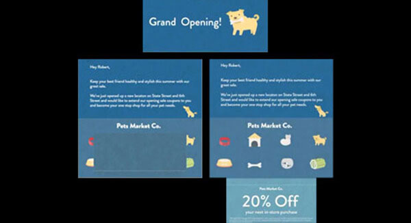 Watch Self-Mailer Featuring 4 Tear Away Sheets