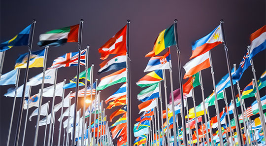 Photo looking up at rows of different international flags lit under a night sky