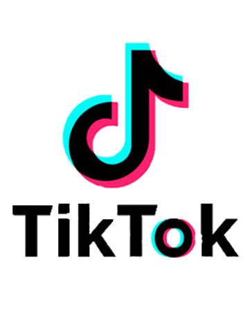 TikTok for buiness logo