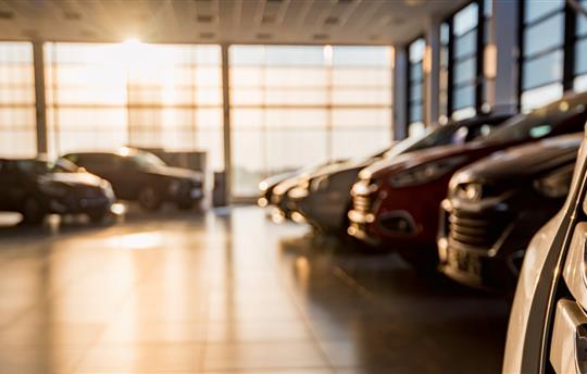 New cars in a sunlit dealer showroom