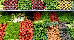 A variety of fruits and vegetables neatly on display in the produce section of a grocery store