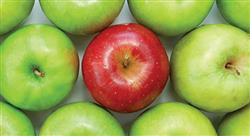 rows of green apples with one red apple in the center