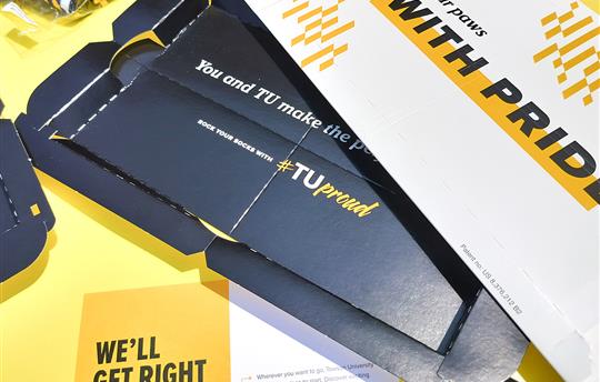 Towson University Flex Mailer