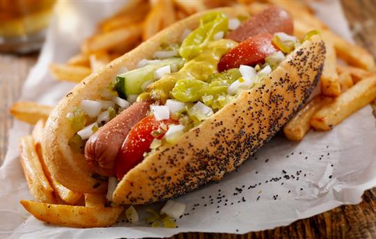 chicago style hot dog in a poppyseed bun surrounded with french fries